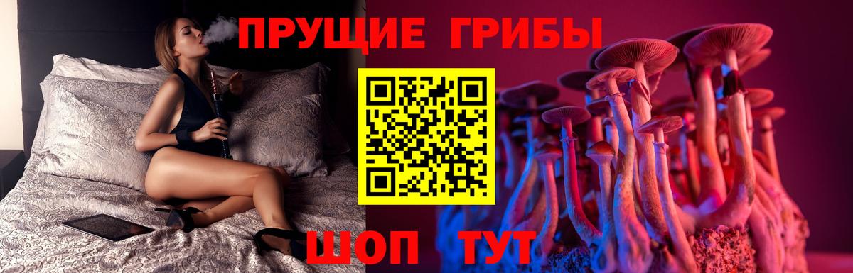 Псилоцибиновые грибы прущие грибы  Псилоцибиновые грибы Psilocybine cubensis  Гуково  Вход с VPN 